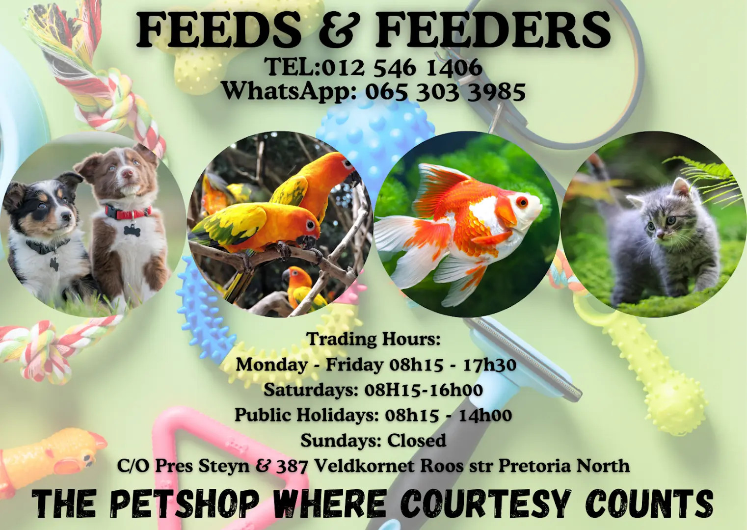 Feeds & Feeders